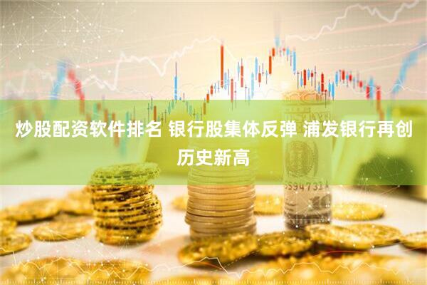 炒股配资软件排名 银行股集体反弹 浦发银行再创历史新高