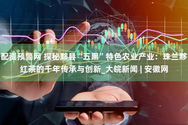 配资预警网 探秘黟县“五黑”特色农业产业：珠兰黟红茶的千年传承与创新_大皖新闻 | 安徽网